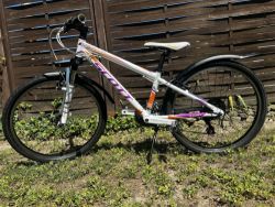 SCOTT SCALE JR 24”