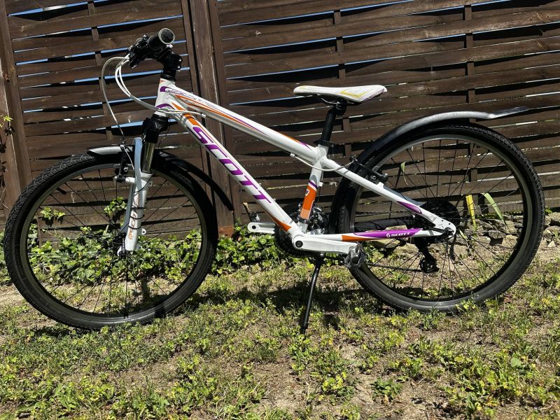 SCOTT SCALE JR 24”
