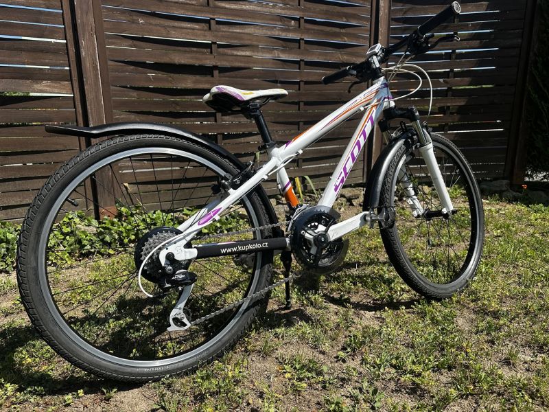 SCOTT SCALE JR 24”