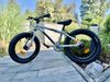 Early Rider Belter 16"