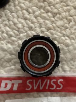 OŘECH DT SWISS RATCHET SYSTEM PRO SHIMANO HG - 2 kusy