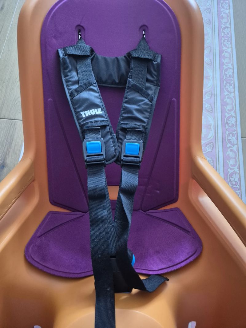 Thule RideAlong 2