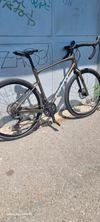 GIANT REVOLT 2024r