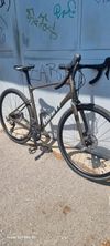 GIANT REVOLT 2024r