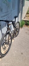 GIANT REVOLT 2024r