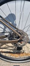 GIANT REVOLT 2024r