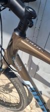 GIANT REVOLT 2024r