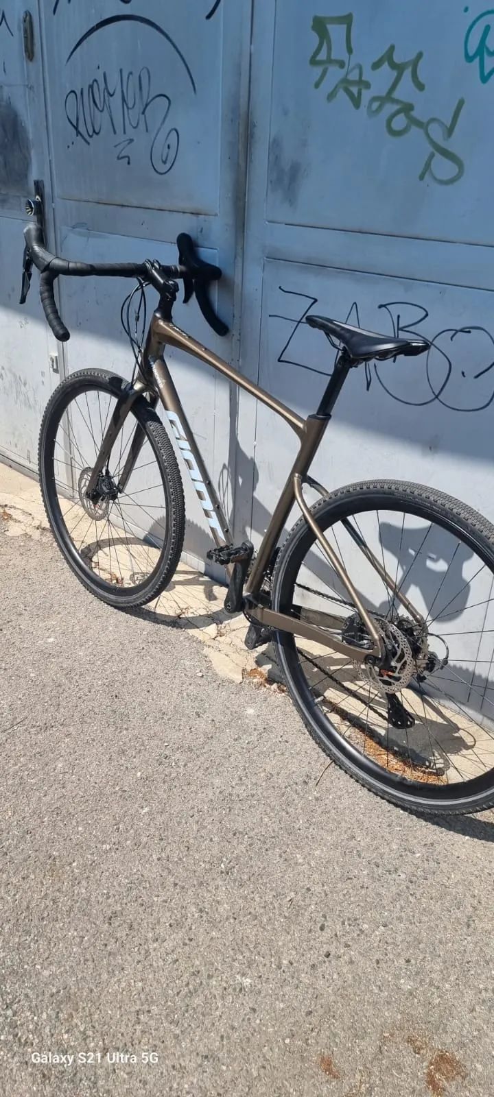 GIANT REVOLT 2024r