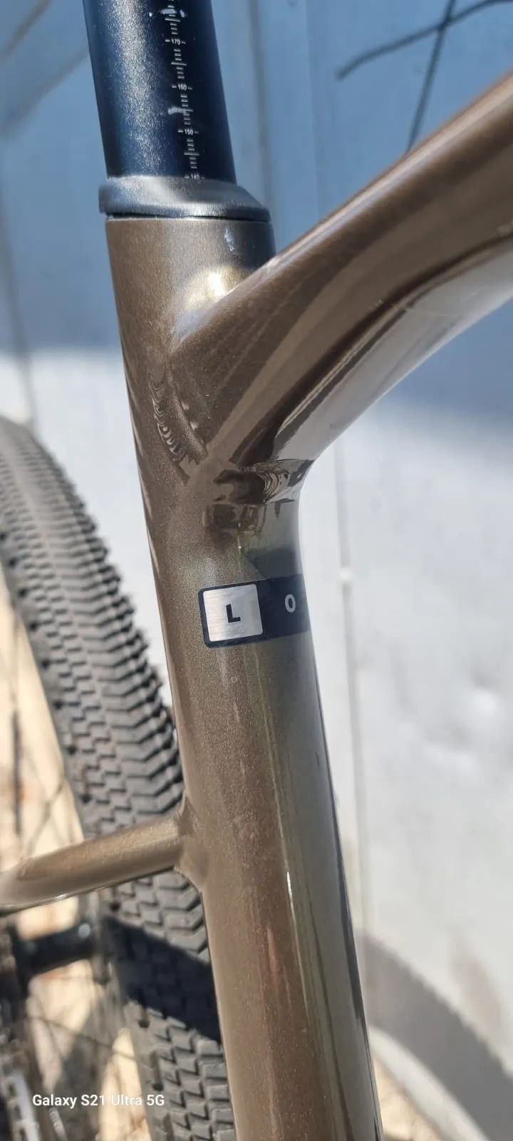 GIANT REVOLT 2024r
