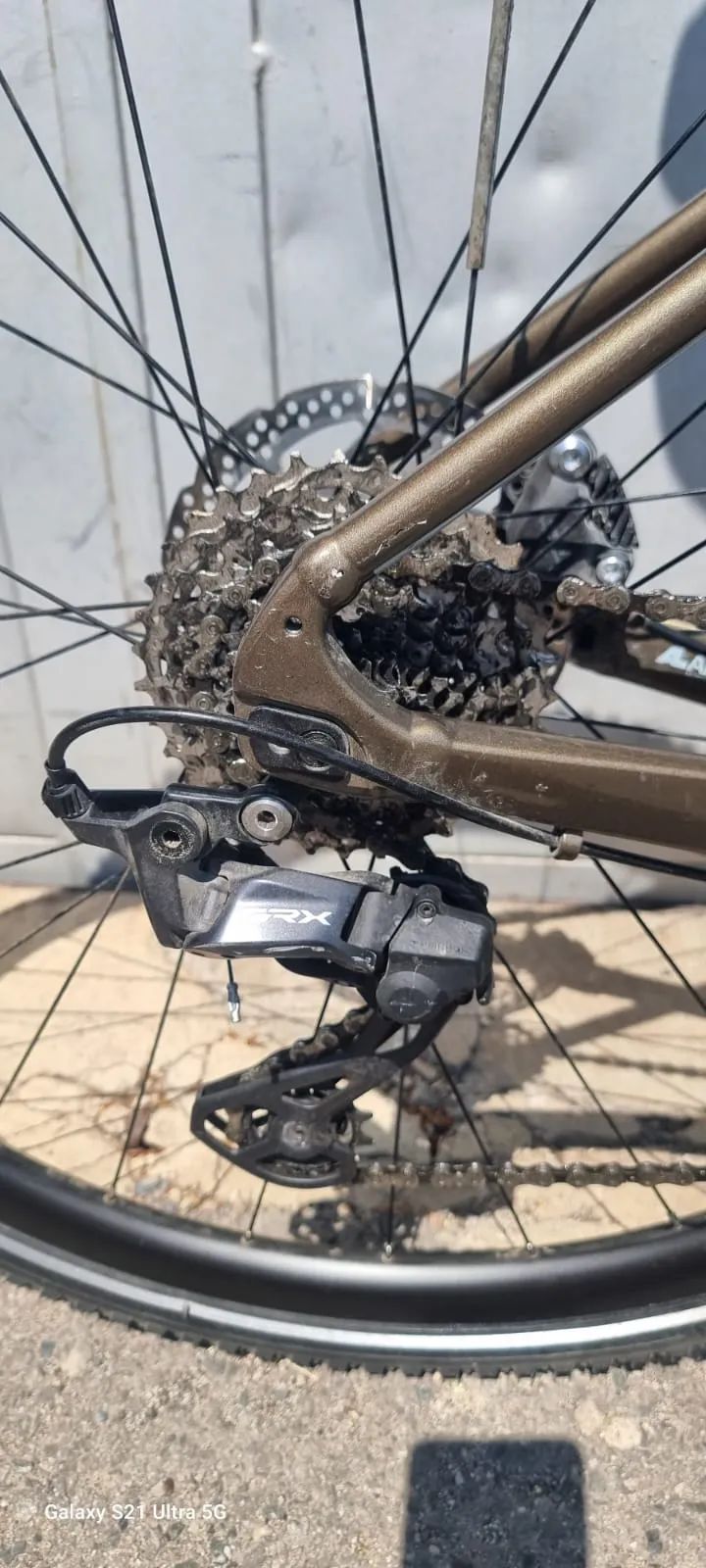 GIANT REVOLT 2024r