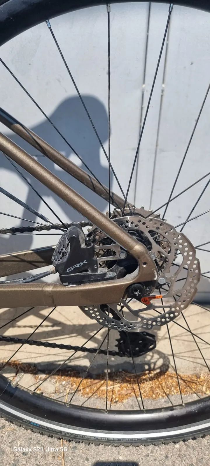 GIANT REVOLT 2024r