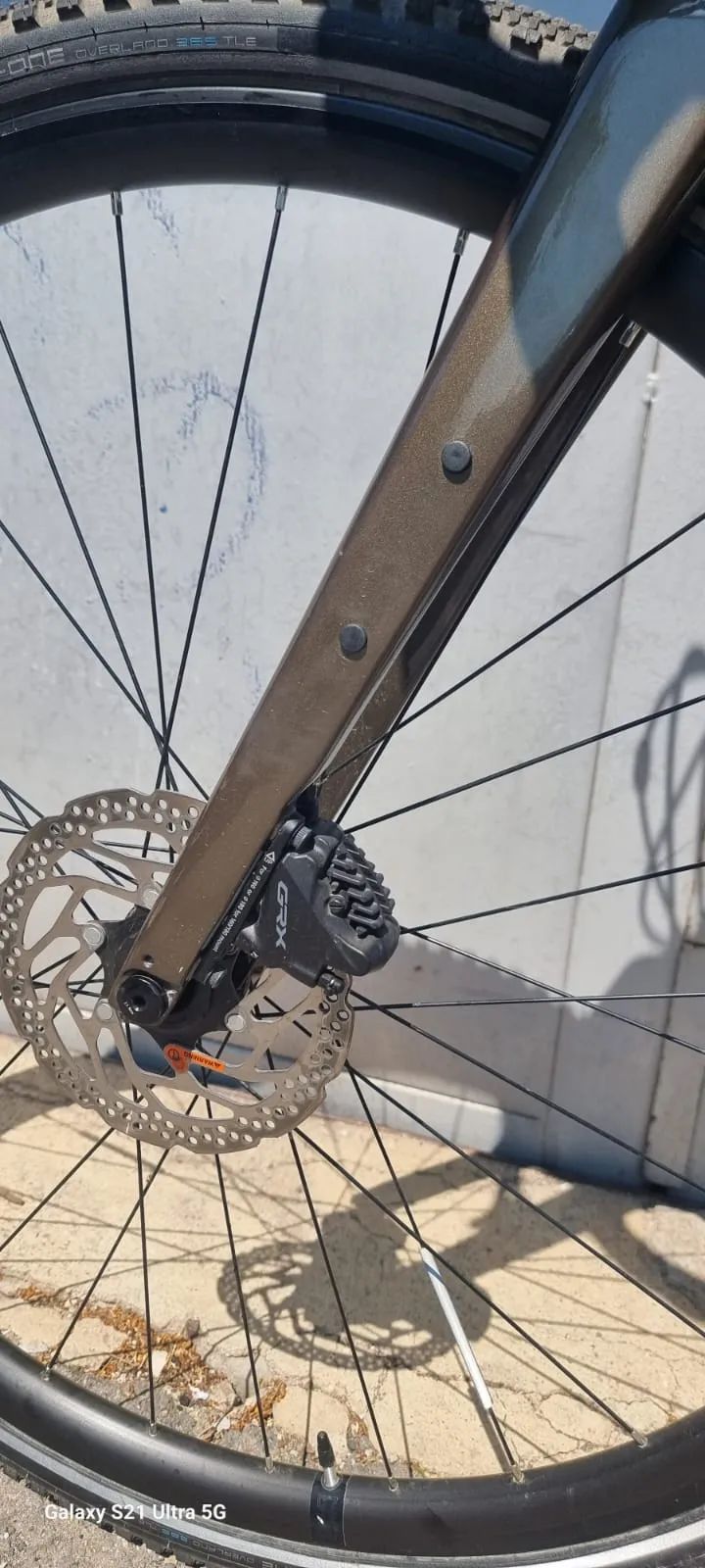 GIANT REVOLT 2024r