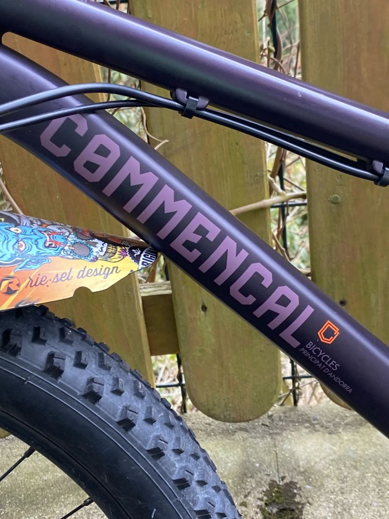 Specialized Riprock 24, Scott Contessa 24 Roxter 24 a speedster 24, Orbea Laufey 24, Merida Matts 24