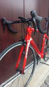 Wilier GTR Team