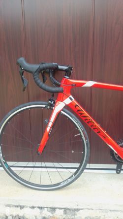 Wilier GTR Team