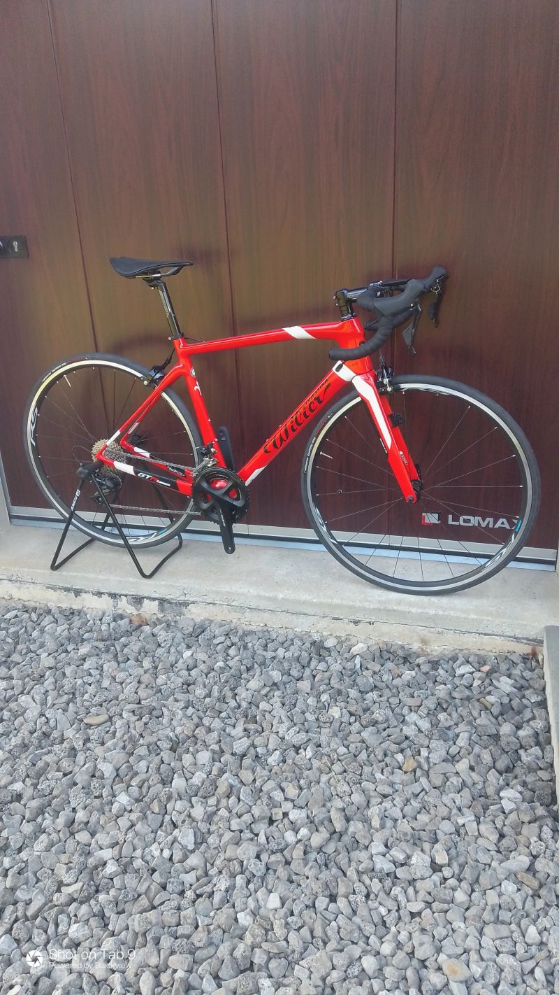 Wilier GTR Team