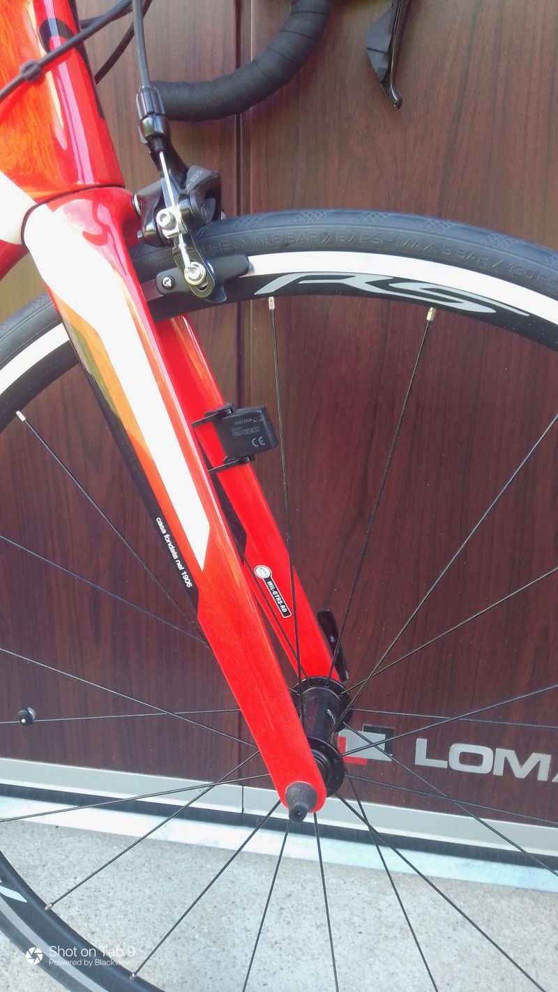 Wilier GTR Team