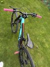 Norco Aurum