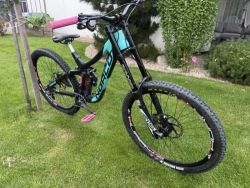 Norco Aurum