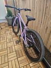 Early Rider Belter 20