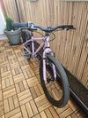 Early Rider Belter 20