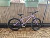 Early Rider Belter 20
