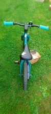 Scott Contesa 14