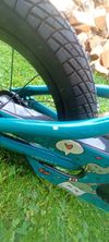 Scott Contesa 14