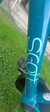 Scott Contesa 14