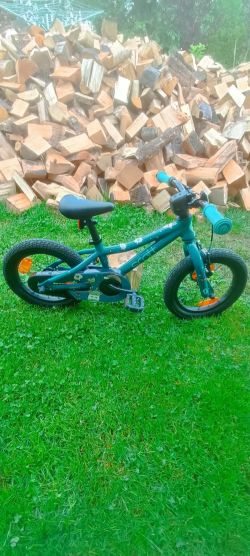Scott Contesa 14