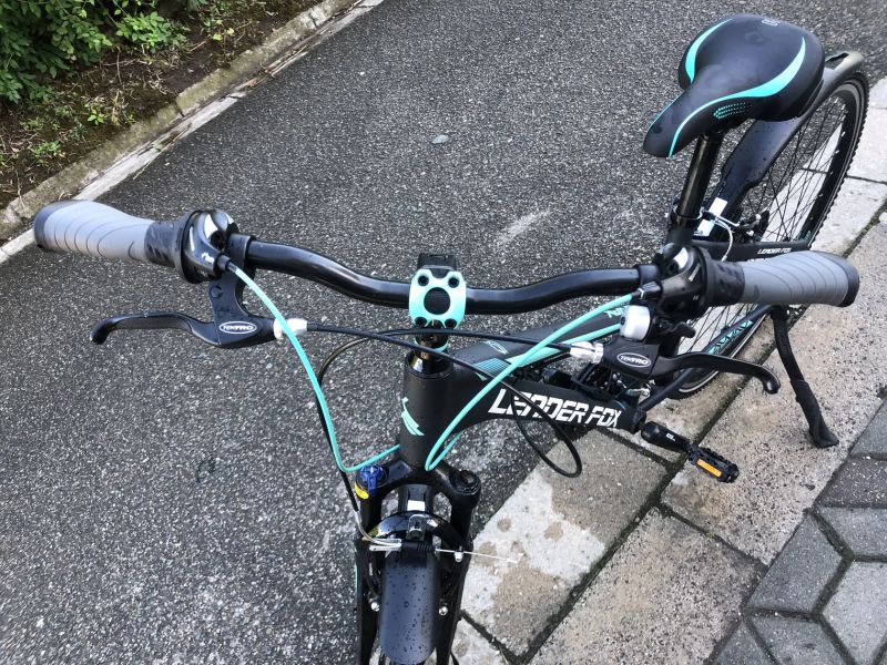Leader Fox Away