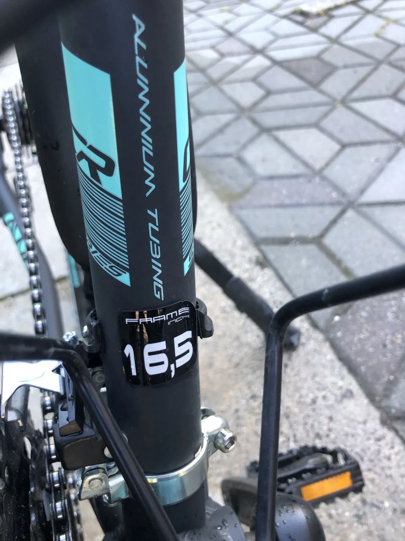 Leader Fox Away
