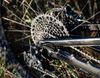 Specialized Kenevo Turbo SL