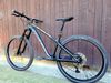 Dartmoor Hornet 2022