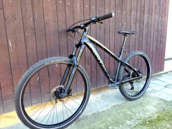 Dartmoor Hornet 2022