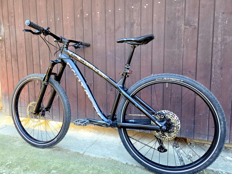Dartmoor Hornet 2022