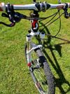 Scott Scale 1x11 karbon velikost S