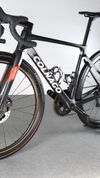 Colnago V4Rs | UAE Emirates | v.455 | 165-174cm