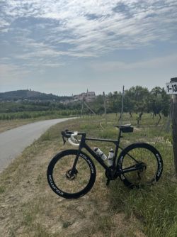 Canyon Endurace CF 7