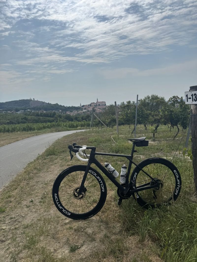 Canyon Endurace CF 7