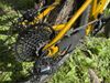 Nukeproof Cub-scout