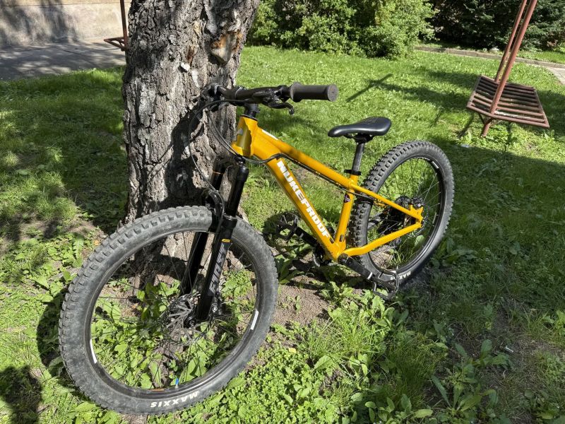 Nukeproof Cub-scout