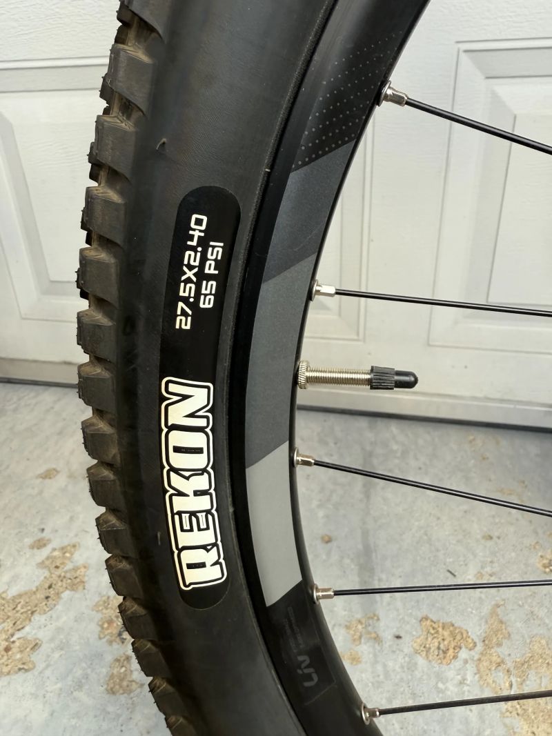Giant Liv tempt E+
