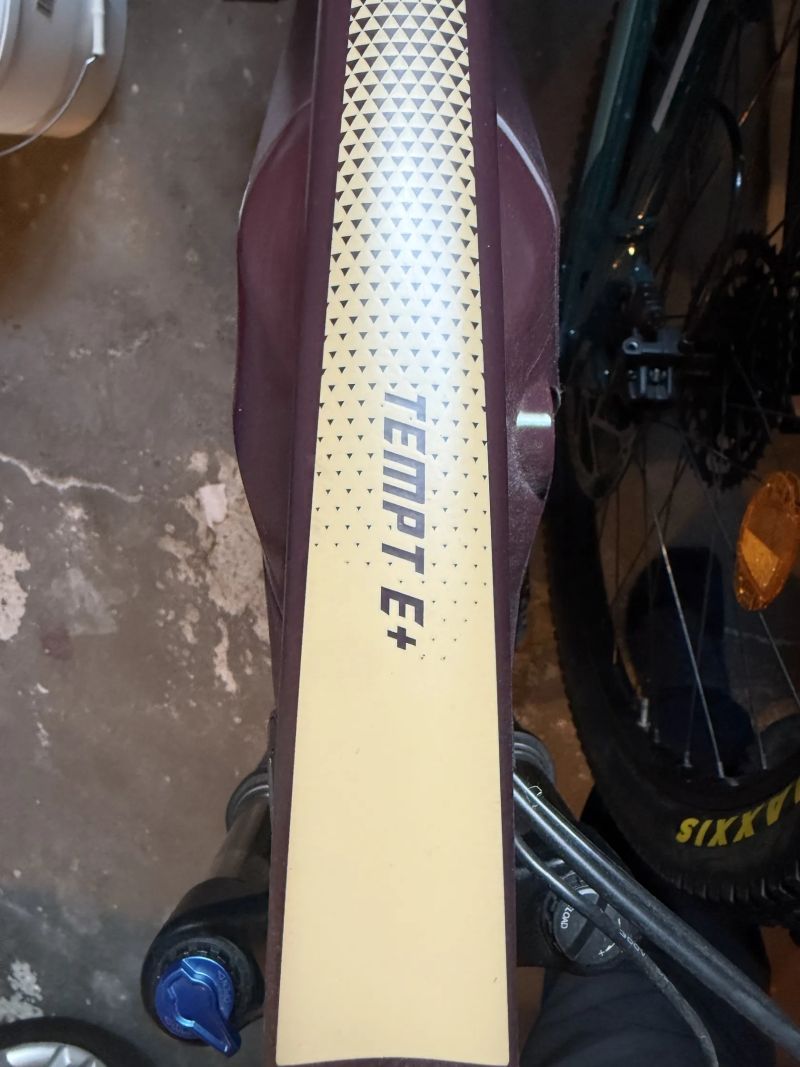 Giant Liv tempt E+