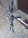 Leader Fox model Forenza
