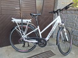 Leader Fox model Forenza