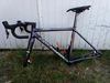COLNAGO C64 v.48s