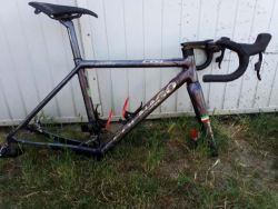 COLNAGO C64 v.48s