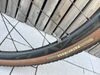 Specialized Sequoia