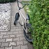 Ctm bmx pop